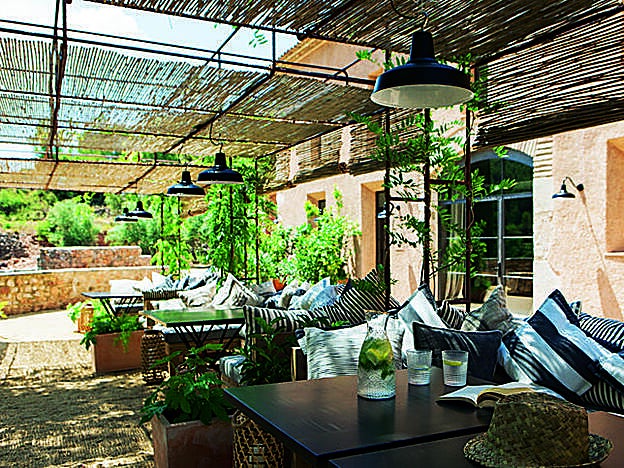 (terradominicata.com)