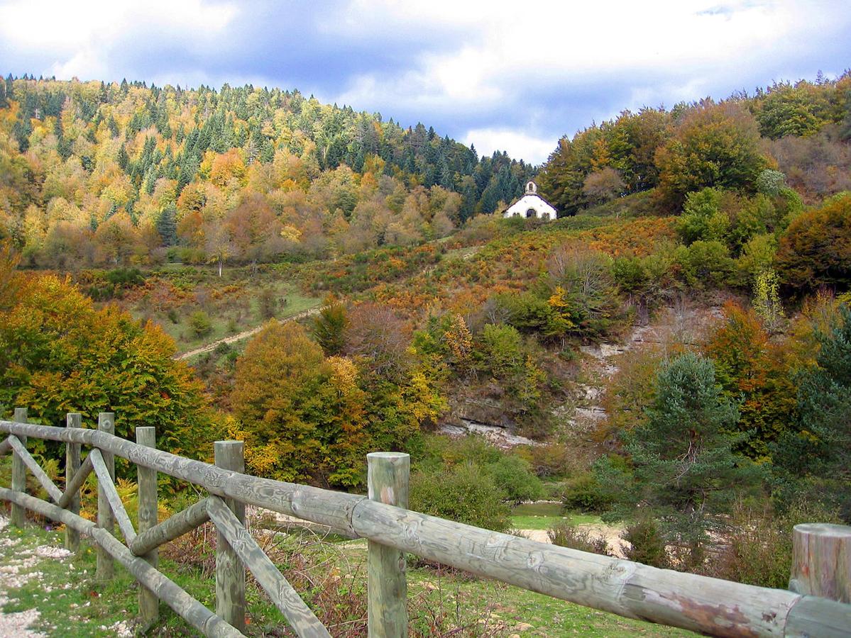 Situada en los valles pirenaicos de Aezkoa y Salazar (Navarra), la Selva de Irati es el segundo bosque de hayas y abetos más grande y mejor conservado de Europa, después de la Selva Negra (Alemania). En otoño, sus árboles se encienden en una explosión de amarillos, naranjas y rojos. Si estás en Navarra, es obligatorio visitar este espectáculo de la naturaleza antes de que llegue el invierno. En medio de todo ese colorido encontrarás, blanca, la ermita de la Virgen de las Nieves.