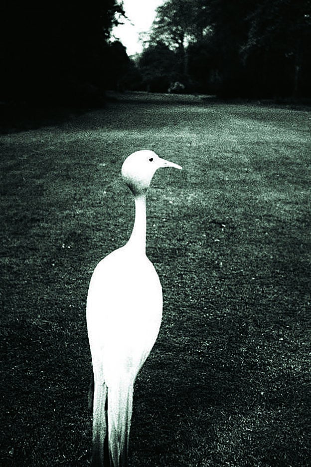 Fotografía Bill Brandt, en el centro de fotografía KBr de Barcelona.