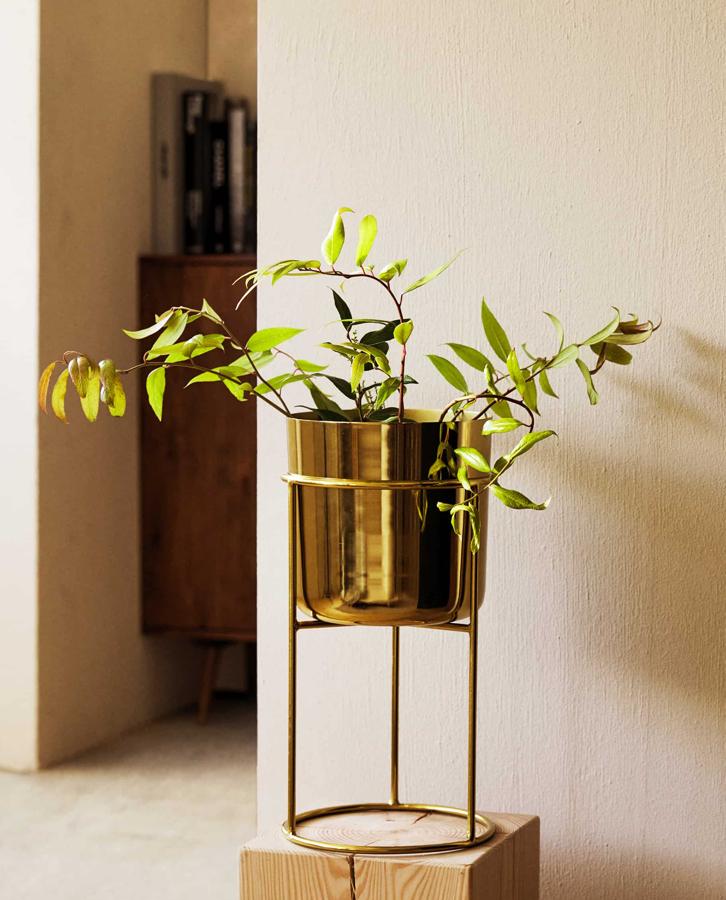 En color dorado, este macetero de hierro está compuesto por dos piezas, una maceta y un soporte. Con medidas de 20x40x20 centímetros, no es apto para exteriores y tiene un precio de 39,99 euros.