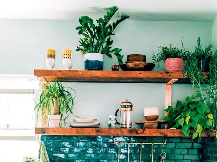 Fotos: 13 ideas irresistibles para convertir tu casa en un jardín cumpliendo las tres B: bueno, bonito y barato