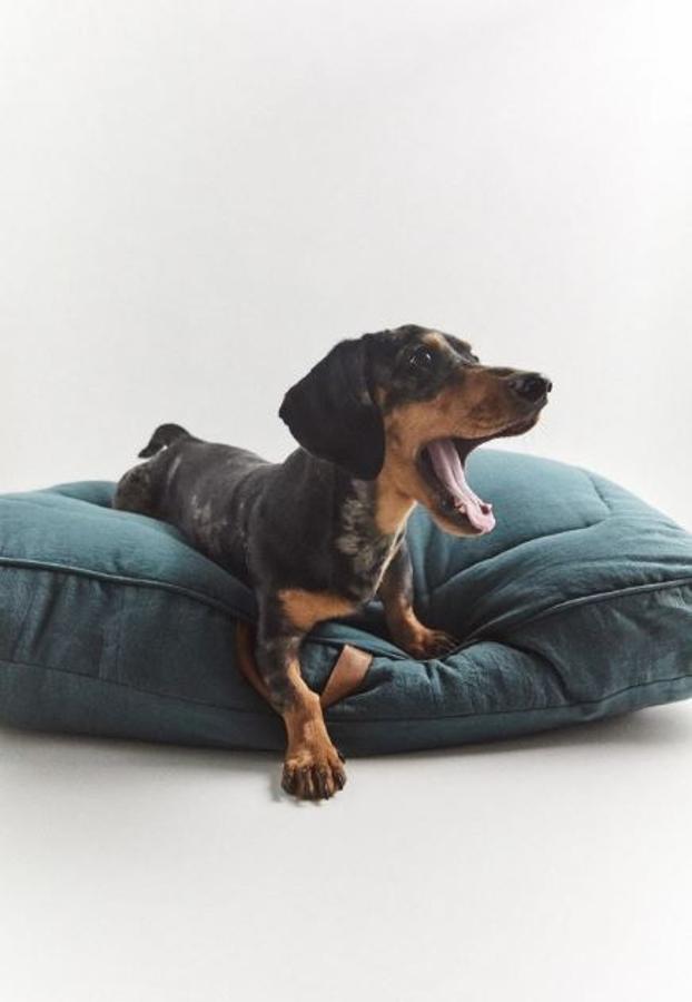 Cama grande en color azul (35,95 euros).