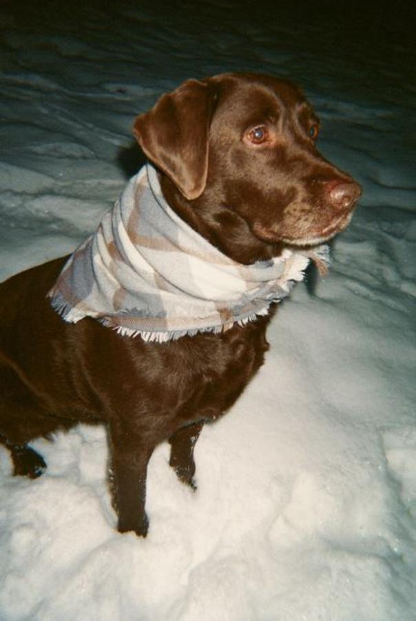 Manta de cuadros (15,95 euros).