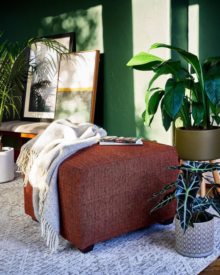 Apuesta por rincones llenos de calidez en los que no falten las plantas o pequeñas obras de arte como estos cuadros que darán un toque muy personal al espacio. En Amazon Home, desde 29.99 euros.