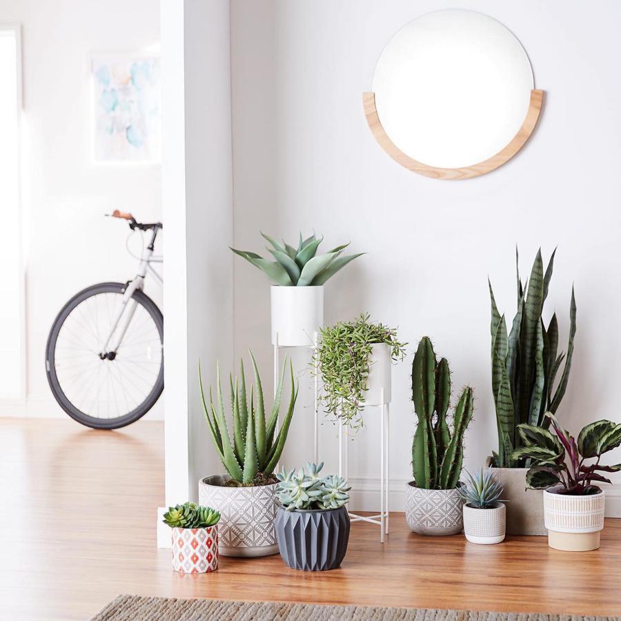 La luz y los tonos neutros, junto con las plantas, son nuestros grandes aliados para crear espacios que parezcan más amplios y limpios. Juega con diferentes tipos de maceteros y plantas y, además, gana metros de forma visual con espejos como este de Amazon Home (69,98 euros).