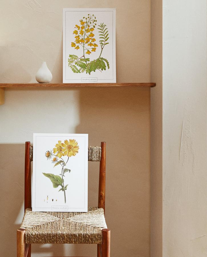 El pack de dos láminas con motivos florales cuesta 12.95 euros en Zara Home.