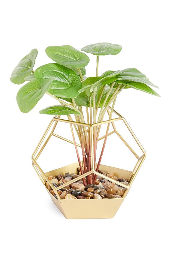 Este macetero geométrico dorado con planta artificial cuesta 7 euros en Primark Home.