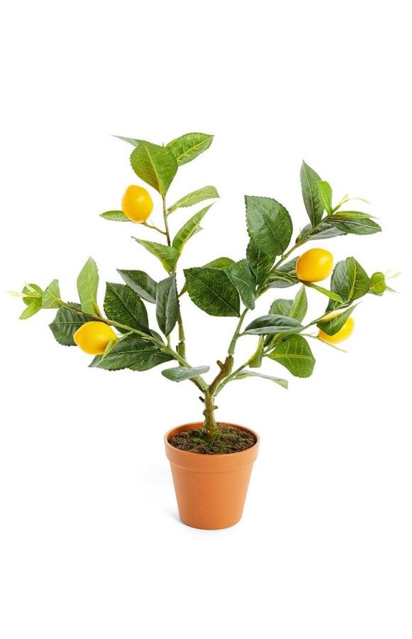 Este limonero artificial con maceta tiene un precio de 12 euros.