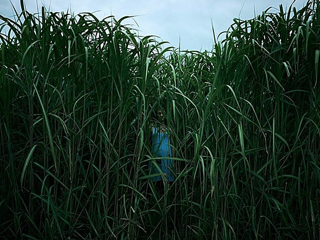 Dos de las mujeres asesinadas en Valencia fueron arrojadas a una acequia.