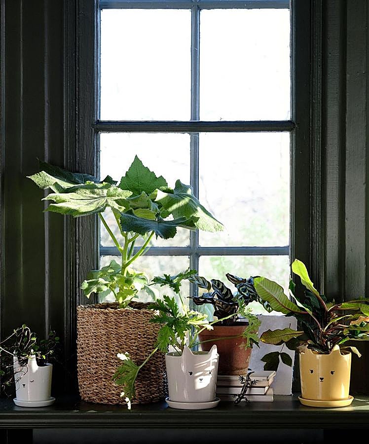 Estos originales maceteros de gatitos para llenar tu casa de plantas esta primavera (7.99 y 12.99 euros en H&M Home).