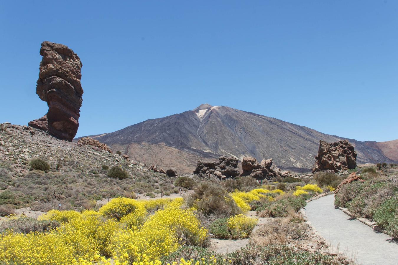Más allá de sus playas casi tropicales, Canarias es única por sus volcanes. Por eso, esta primavera te proponemos una escapada diferente a las islas con un 'road trip' volcánico por Tenerife que nos lleva al Parque Rural de Anaga, a la Reserva Natural Especial del Malpaís de Güímar, a Los Llanos y el Monumento Natural de Montaña Amarilla, al Callao Salvaje de la Reserva Natural Especial de Barranco del Infierno y Roque del Conde, a la Reserva Natural Especial del Volcán Chinyero y, por supuesto, al Teide.