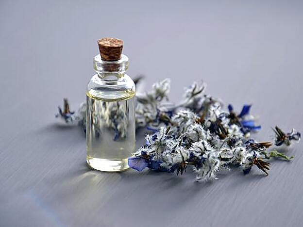 Aceite de árbol de té: el multiusos que vas a adorar por sus efectos antisépticos y desinfectantes (y porque sirve para casi todo, desde controlar el acné a reducir la caspa)