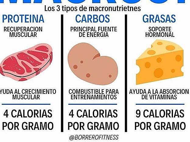 Aprende a diferenciar el tipo de alimentos con los que nutres tu cuerpo, como los macronutrientes (en la imagen superior)