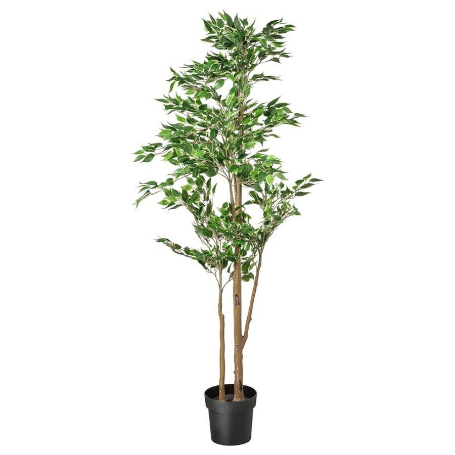 Añade un toque natural en el salón con la ayuda de esta planta exhuberante y de grandes dimensiones. Se trata de un ficus artificial y cuesta 49 euros.