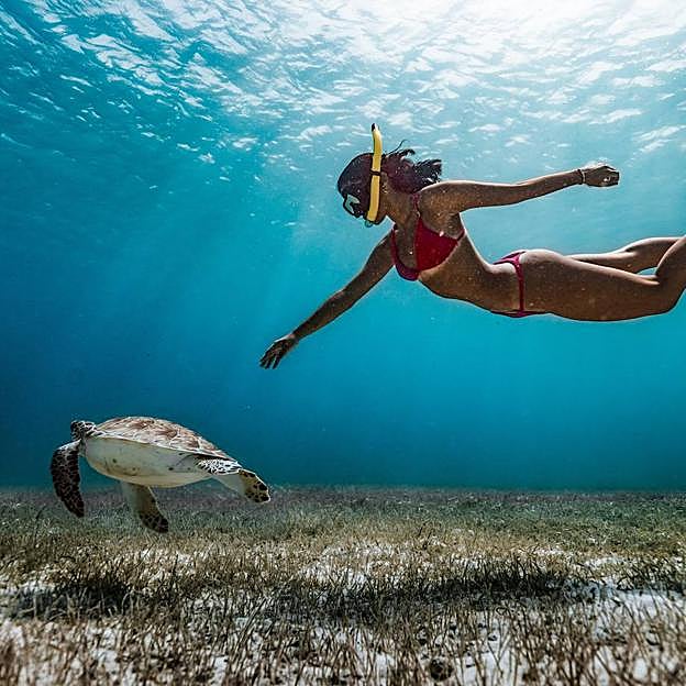 No te dejes engañar por la falta de profunidad, haciendo snorkeling descubrirás grandes tesoros marinos