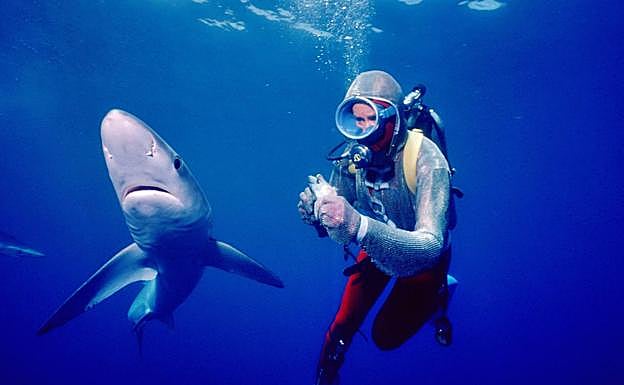 Valerie Taylor buceando junto a un escualo y poniendo a prueba el traje 'anti-tiburones'.
