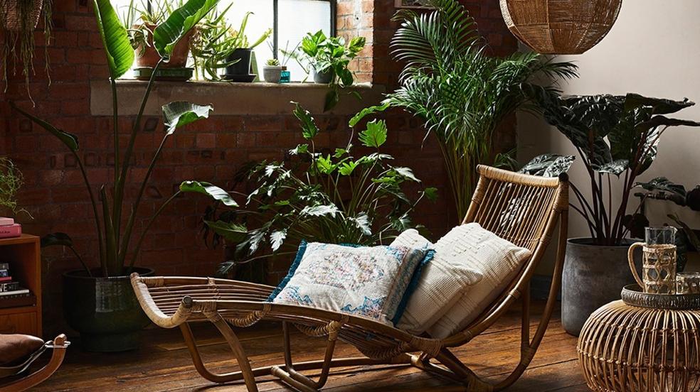 Marcos de fotos, maceteros y cojines, no te pierdas los 14 chollos deco por menos de 10 euros de Primark Home que querrás tener en tu casa