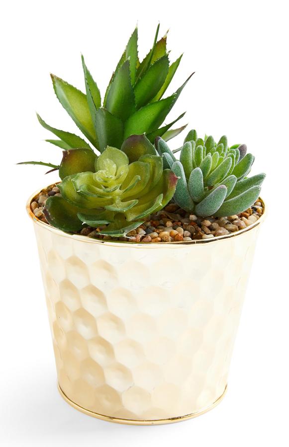 Este macetero dorado con relieve y plantas artificiales tiene un precio de 7 euros.