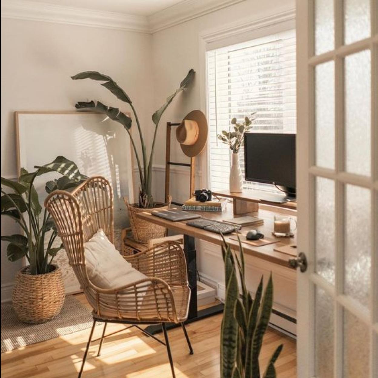 Pincha en la foto y descubre las plantas más originales y bonitas para tu casa.