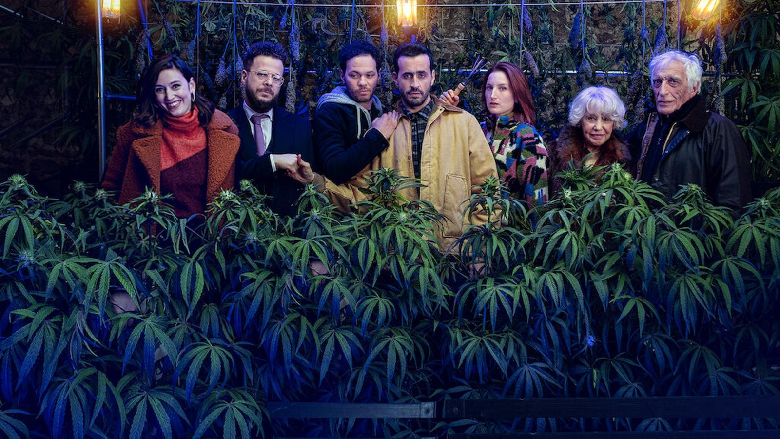 Tras descubrir que Francia va a legalizar la marihuana, un emprendedor con mala suerte y su familia deciden convertir su carnicería en un establecimiento para vender hierba.