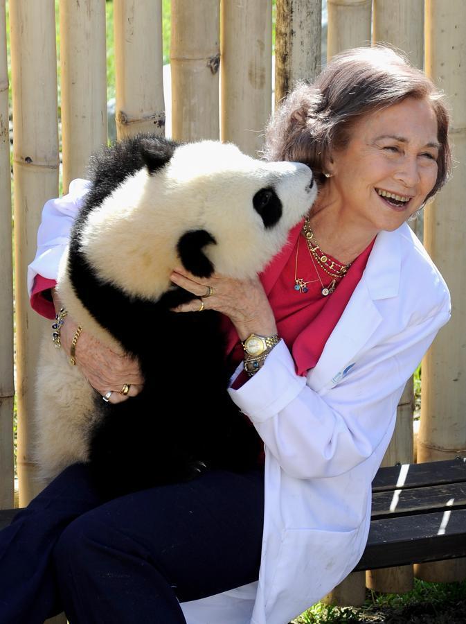 La Reina Sofía, en una divertida imagen de 2011 junto a un panda en el Zoológico de Madrid.
