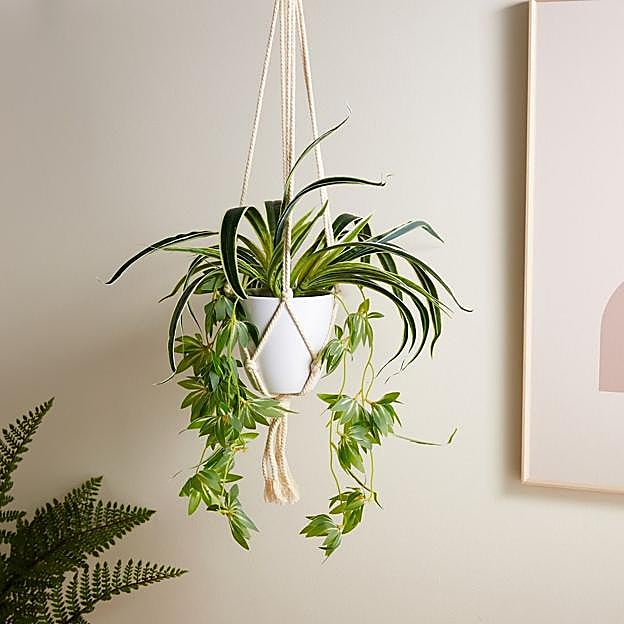 Imagen principal - En Primark Home encontramos plantas artificiales, con maceteros incluidos, por 7 euros, y ramos de flores artificiales por 1 euros.