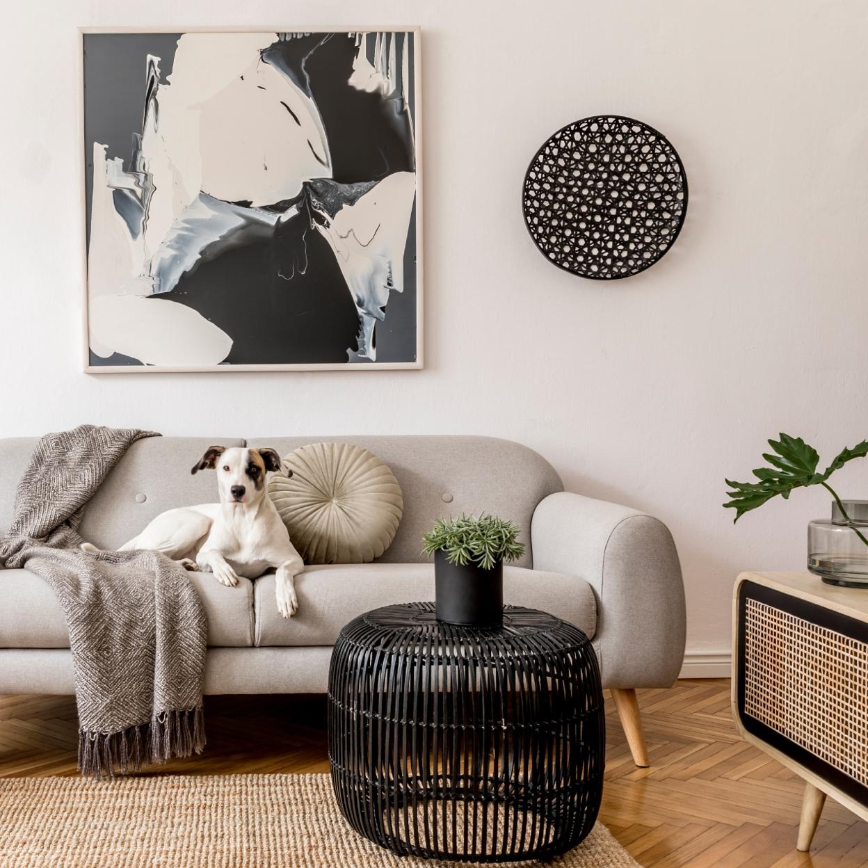 También puedes cometer errores a la hora de organizar tu cocina. Pincha en la imagen para conocerlos y no caer en ellos. 