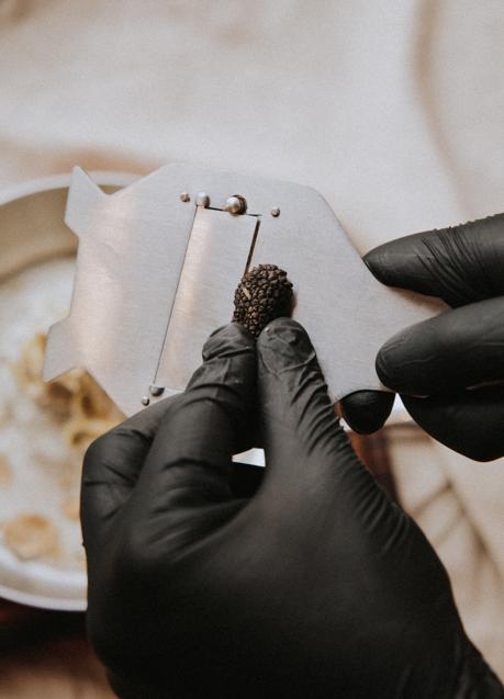 Imagen - La trufa tendrá el protagonismo que merece en Madrid Fusión. Klara Kulikova/Unsplash