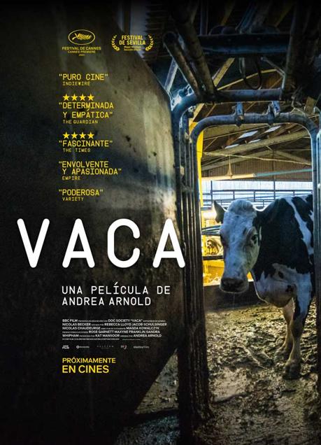 Imagen - Cartel de la película Vaca de Andrea Arnold.