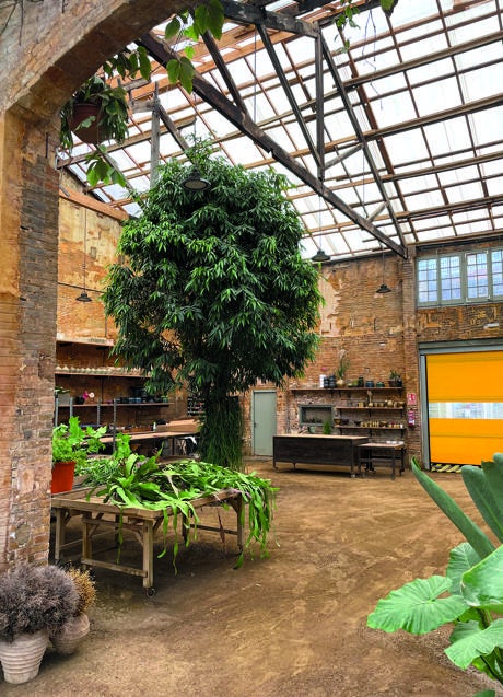 Imagen - Flowers by Bornay.