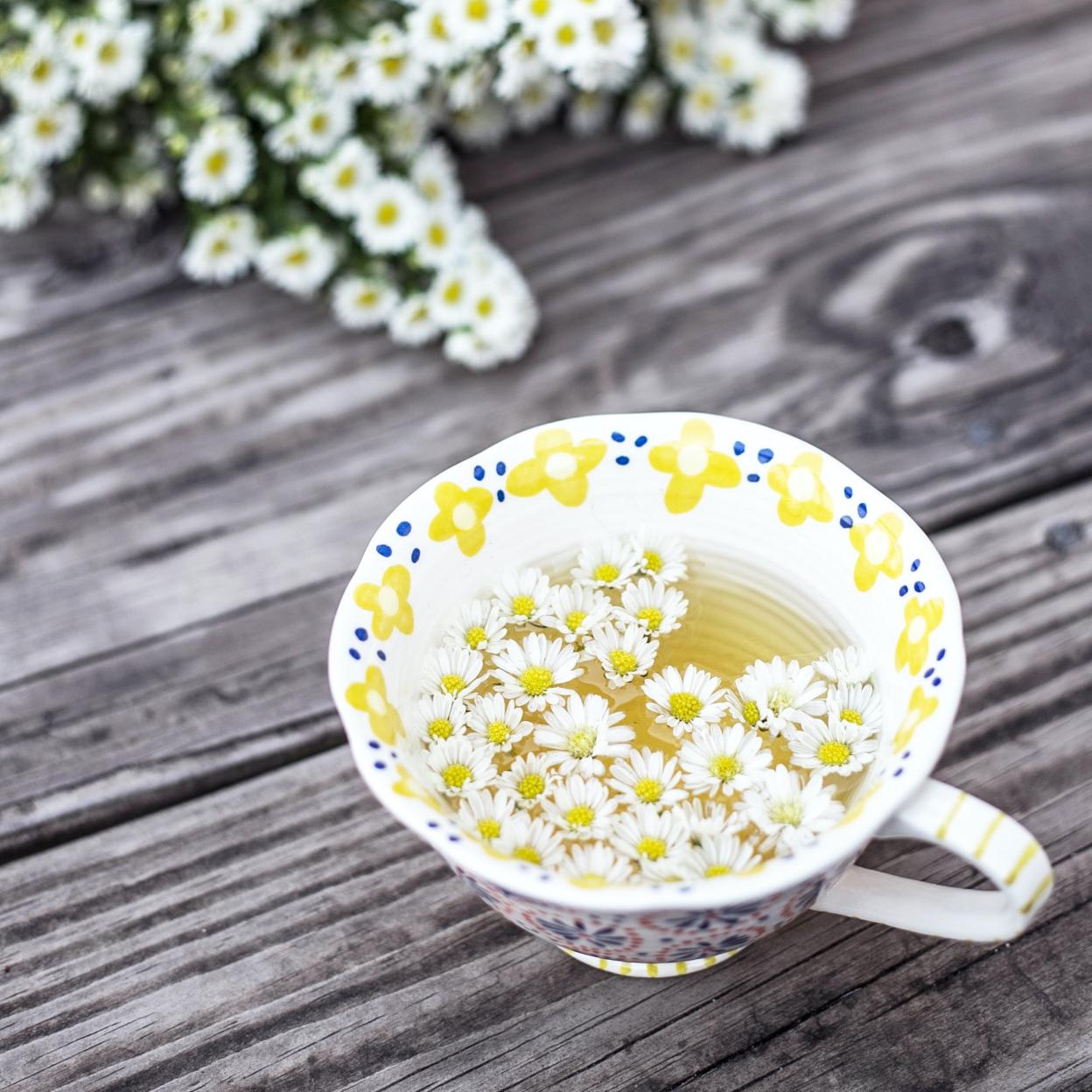 De la cola de caballo al diente de león. Pincha en la imagen para conocer las mejores infusiones para adelgazar, eliminar líquidos, acelerar tu metabolismo y reducir la cintura. 