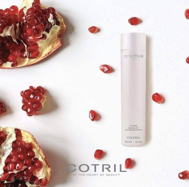 El champú hidratante y antioxidante Hydra de Cotril aporta volumen, brillo y suavidad a la melena.  Cómpralo aquí