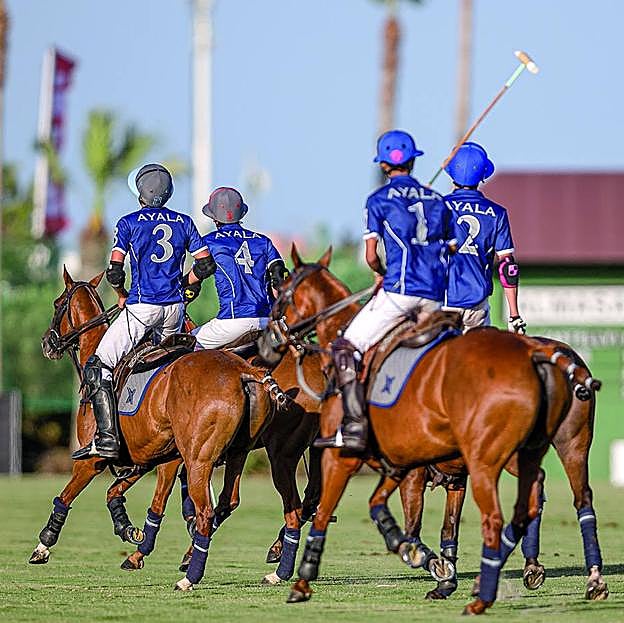 Imagen principal - El equipo de Sainte Mesme (dcha.) fue campeón de la Copa de Bronce Volvo alto hándicap, tras derrotar al Dos Lunas La Hacienda. Izq., el Cotton House, que venció al Cibao La Pampa en la Copa de Bronce Volvo bajo hándicap.