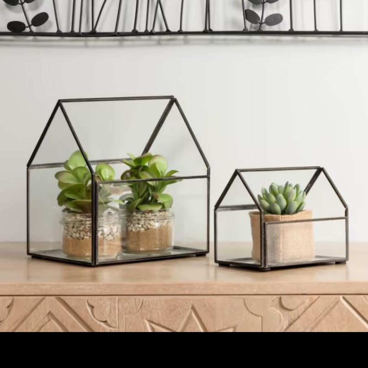 Las mini plantas son perfecta para crear un pequeño oasis dentro de casa.