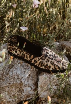 Imagen secundaria 2 - Los modelos nuevos de Venezianas.