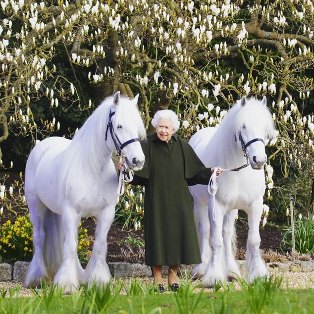 Para conmemorar sus 96 cumpleaños Buckingham Palace distribuyó esta imagen oficial en la que la monarca posaba con sus ponies favoritos, Bybekc Katie y ByBeck Nightingale.