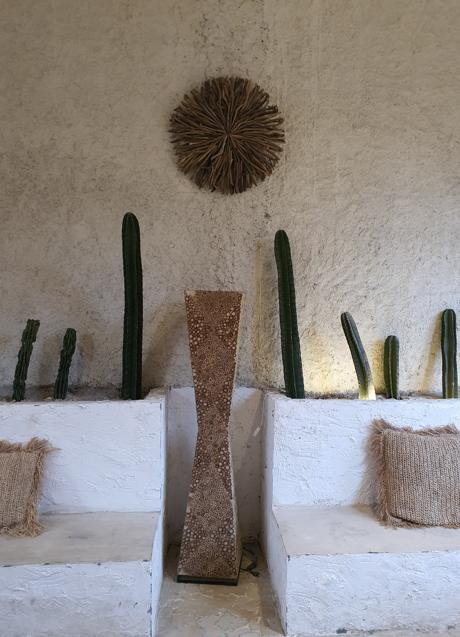 Imagen - Las formas escultóricas de los cactus la convierten en una opción perfecta de decoración/PEXELS