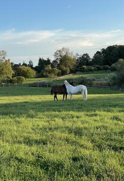 Imagen secundaria 2 - El proceso creativo de Jimena de Cruylles.