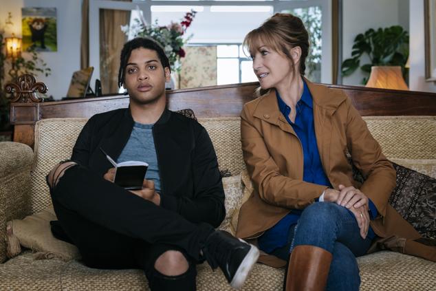 Jane Seymour, conocida por La doctora Quinn, es Harry, una profesora de literatura que trata de adaptarse a su nueva condición de jubilada hasta que es asaltada por un joven y encuentra una nueva vida como investigadora privada.