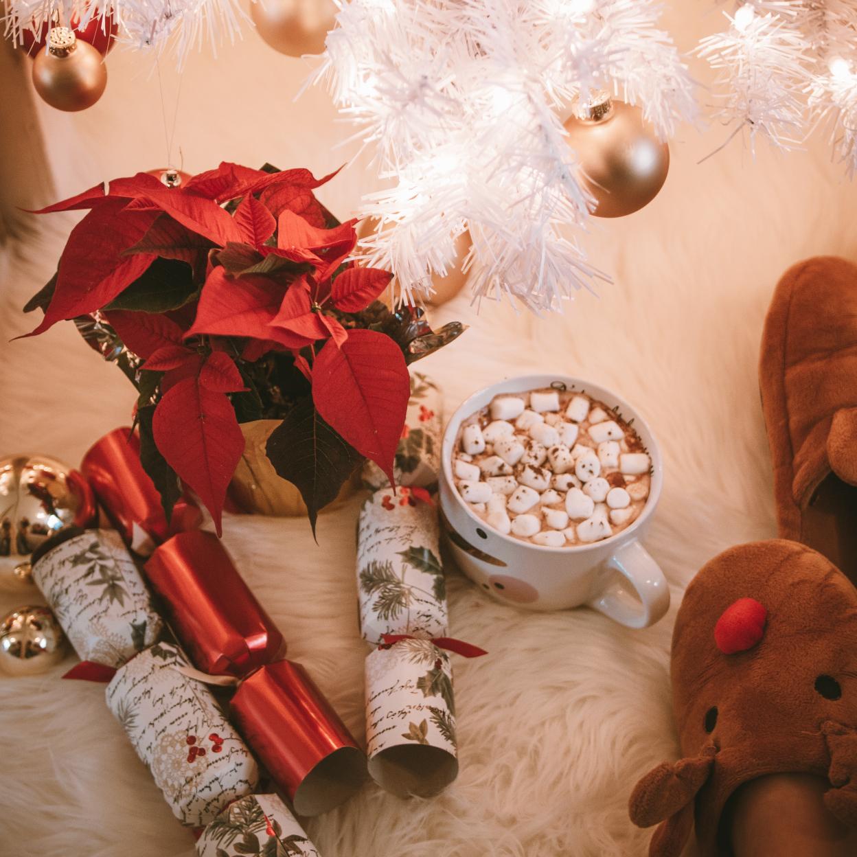 Decoración navideña con Flor de Pascua