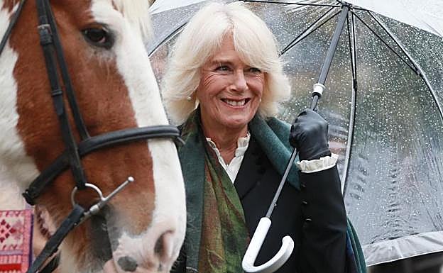 La reina Camilla ha pasado de figurar como la mujer que más daño hizo a Diana de Gales y la causante de su divorcio, a reina consorte en la monarquía británica. 