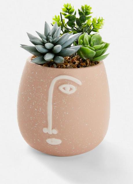 Imagen - Suculentas sintéticas mixtas/Primark Home