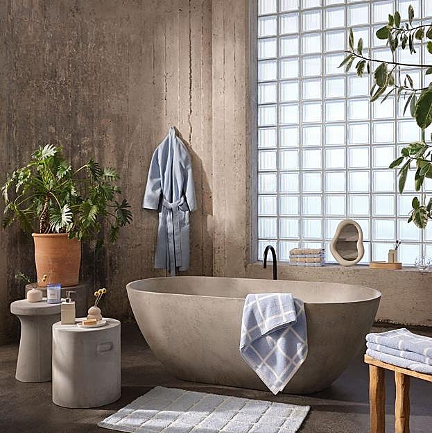 Baño decorado con plantas.