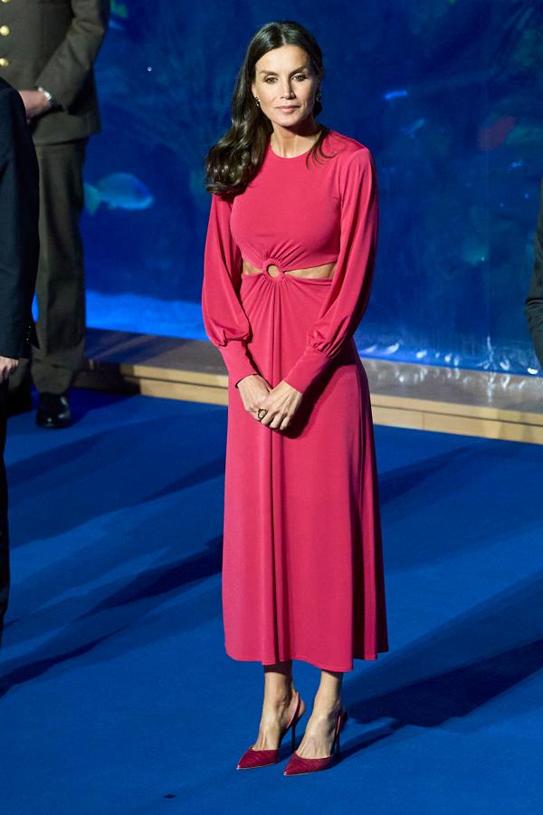 El rosa se ha convertido en el protagonista de los looks de la reian gracias a prendas como este vestido que tanta polémica generó. La monarca sorprendió con este diseño cut-out en su asistencia a la celebración del Día Mundial de la Cruz Roja del año pasado.