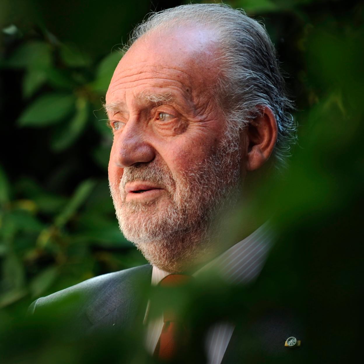 Retrato del rey emérito Juan Carlos I.