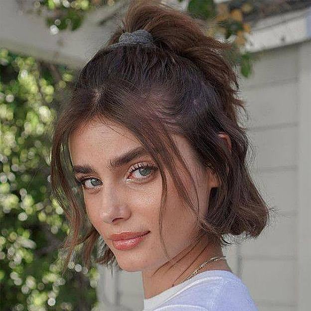 Coleta para pelo corto