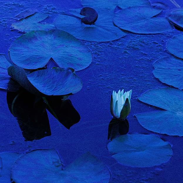 Una fotografía de Paola Marzotto de la serie Azul. 