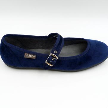 Imagen secundaria 1 - Las merceditas azules de Venezianas, Victoria y Flabelus.