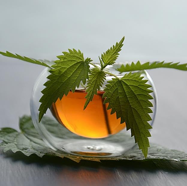 Infusión de ortiga. 