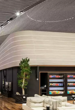 Imagen secundaria 2 - Las mejores salas VIP de aeropuertos del mundo (y cómo acceder a ellas)